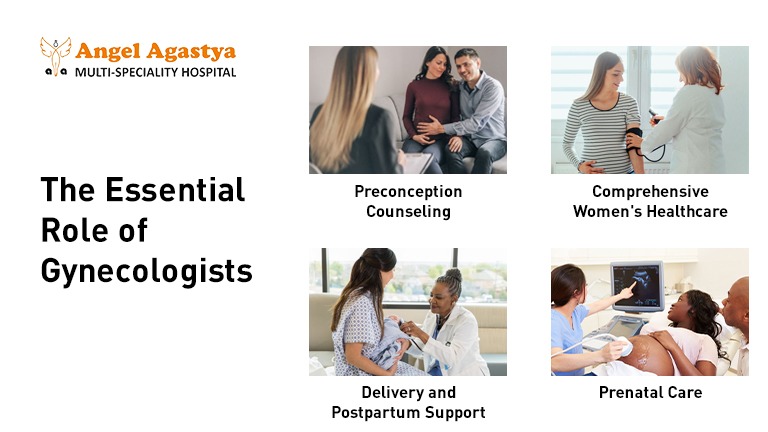 Gynecologist - Essential Role