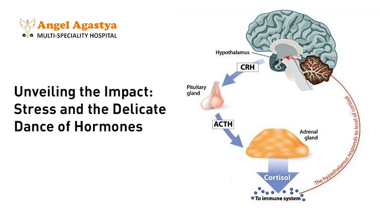 Unveiling the Impact: Stress and the Delicate Dance of Hormones