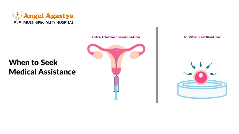 When to Seek Medical Advice: Fertility Tips in Palam