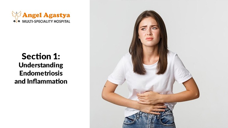 Understanding Endometriosis and the Role of Inflammation in Endometriosis