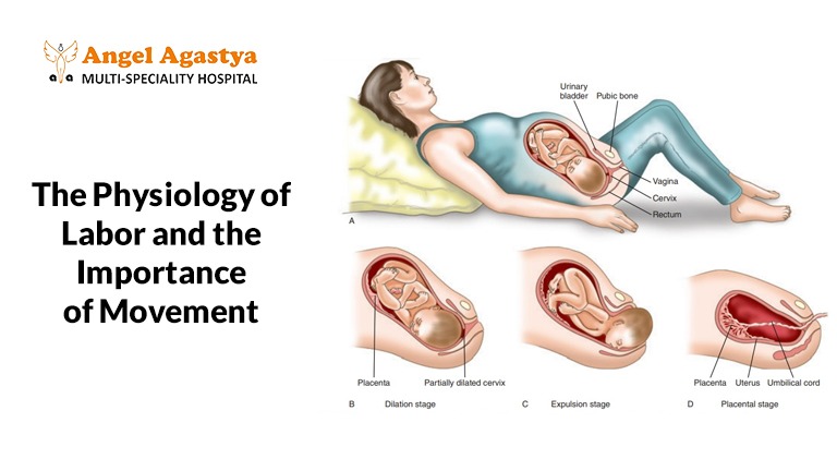 Movement and Position