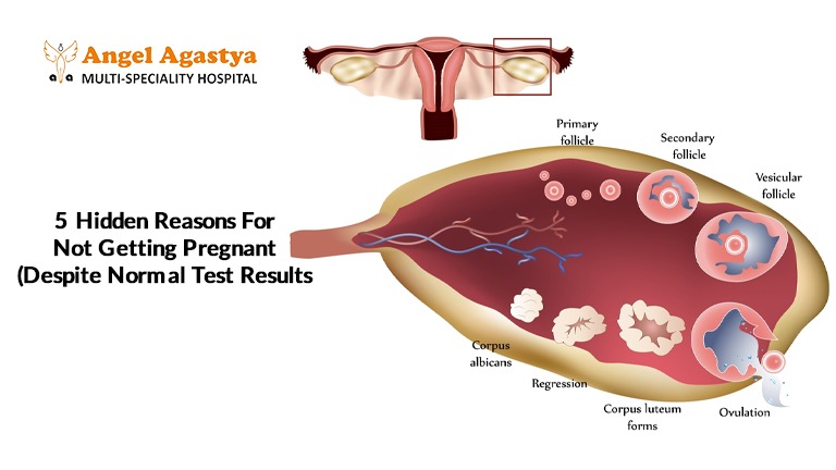 5 Hidden Reasons For Not Getting Pregnant