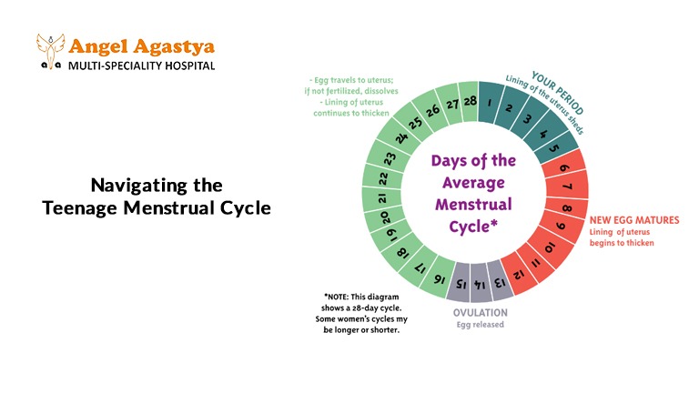 Navigating the Teenage Menstrual Cycle