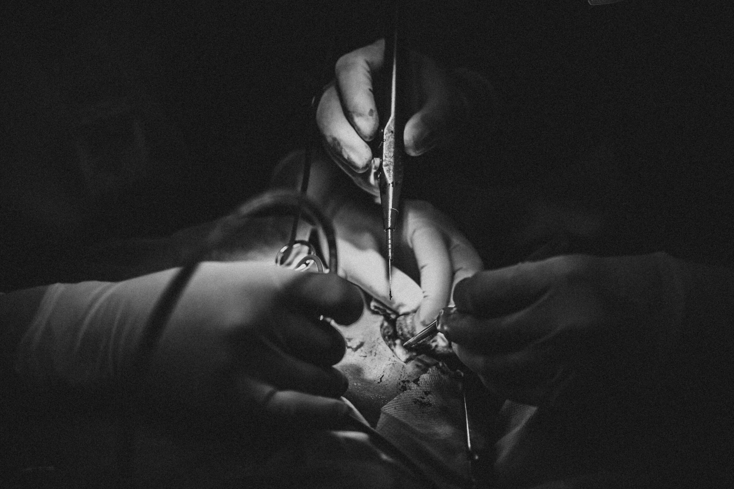 A detailed black and white image of surgeons performing surgery, highlighting precision.