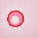 Illustration of egg fertilization with sperm, featuring paper cutouts on a pink background.